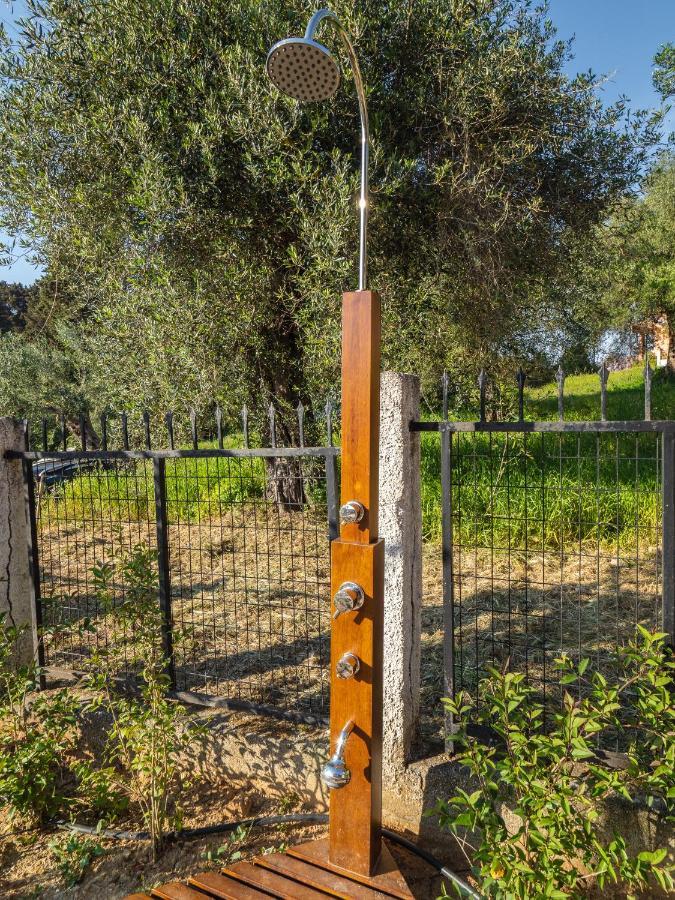 Olea House 2' Walk From The Sea Villa Notos Exterior photo